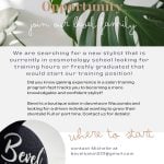 Hairstylist and/or assistant 2 Bevel Salon & Boutique
