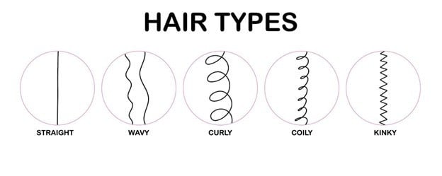 Hair types chart showing straight, wavy, curly, and coily hair patterns for cosmetology students.